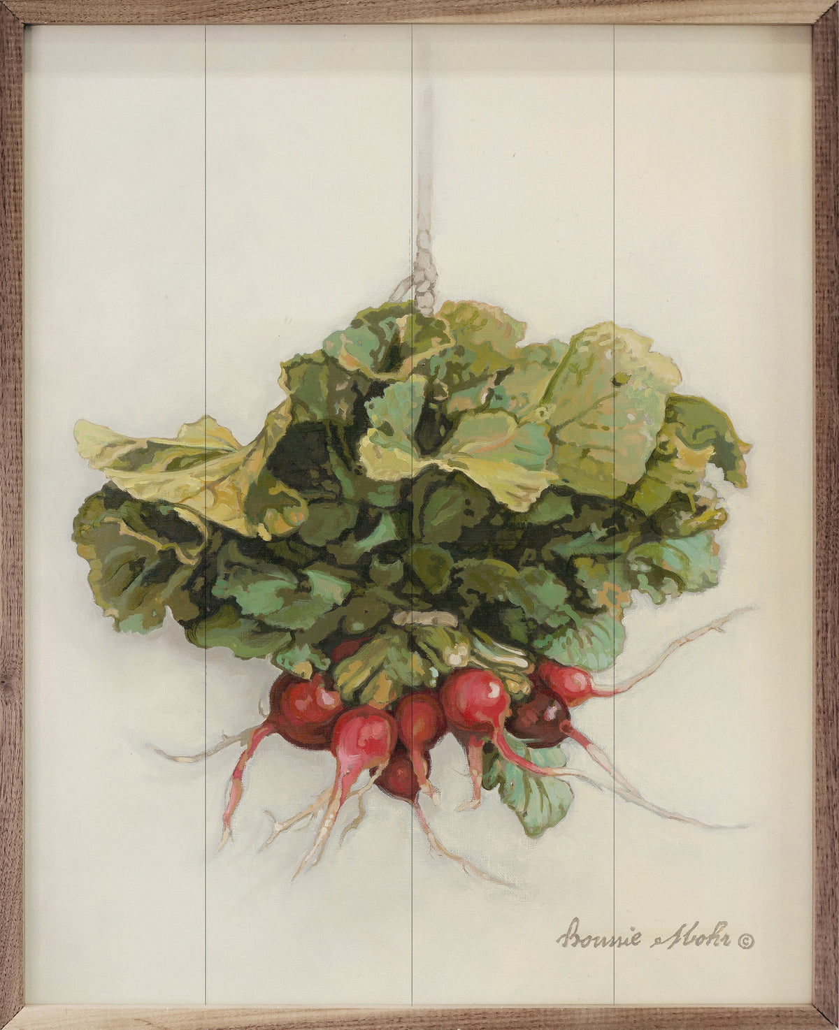 Radish By Bonnie Mohr