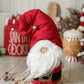Santa Gnome