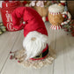 Santa Gnome