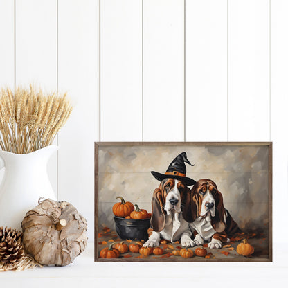 Two Bassets With Pumpkins