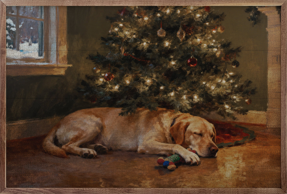 Lab Under The Christmas Tree