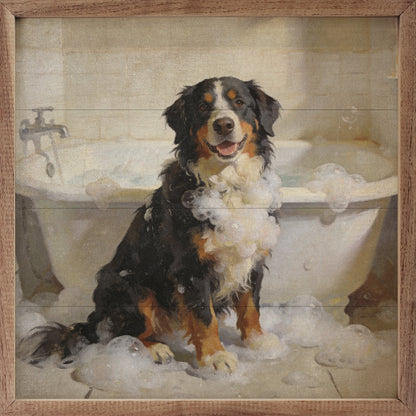 Bath Time Bernese Mountain Dog