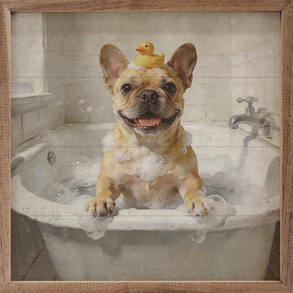 Bath Time French Bulldog