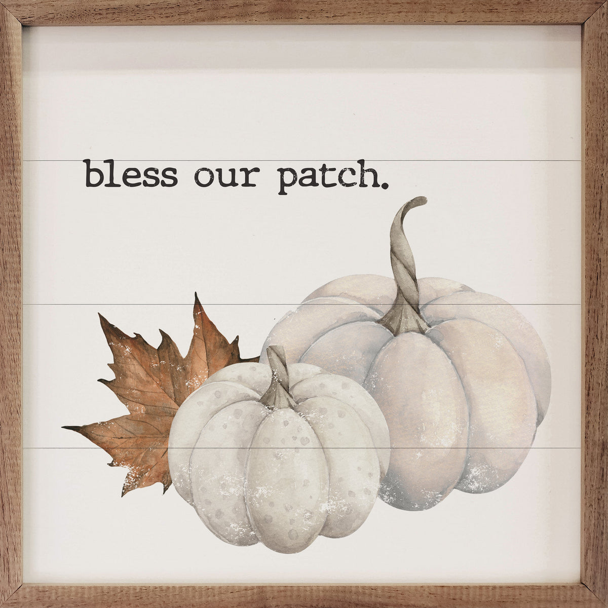 Bless Our Patch White Pumpkins