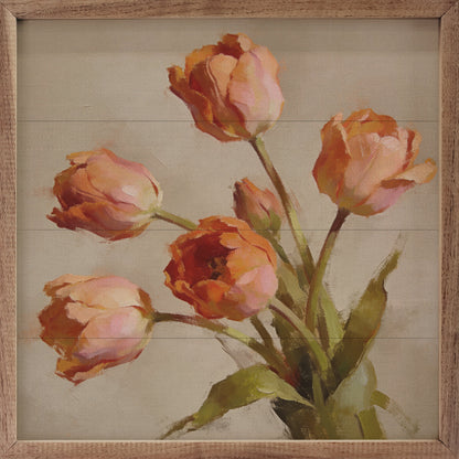 Blush Tulip Gathering