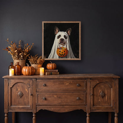 Trick Or Treat French Bulldog