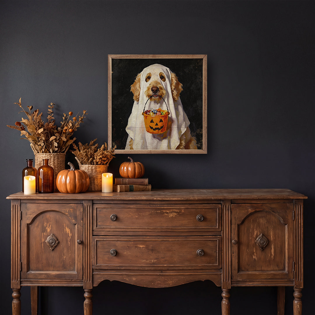 Trick Or Treat Goldendoodle