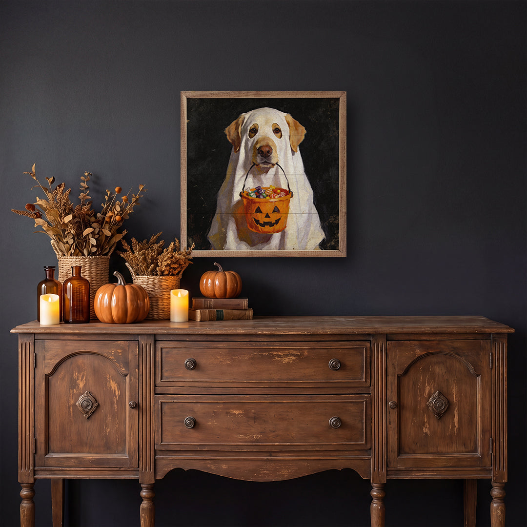 Trick Or Treat Lab