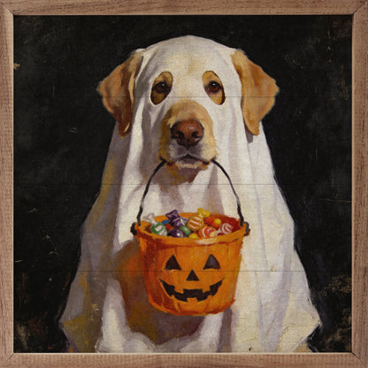 Trick Or Treat Lab