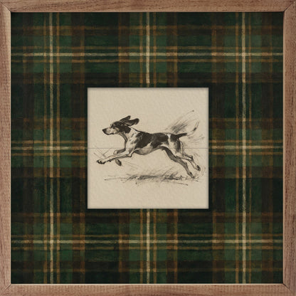 Vintage Running Coonhound Tartan Study Print