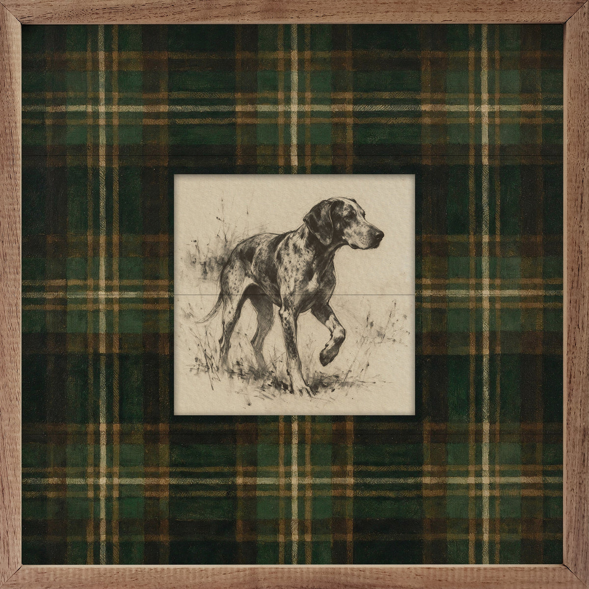 Vintage Standing Coonhound Tartan Study Print