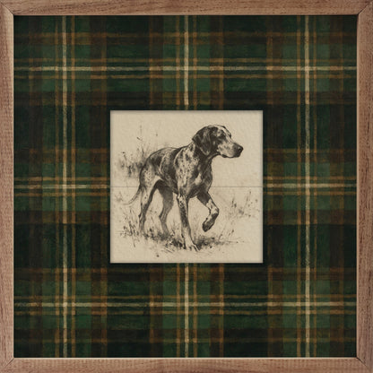 Vintage Standing Coonhound Tartan Study Print