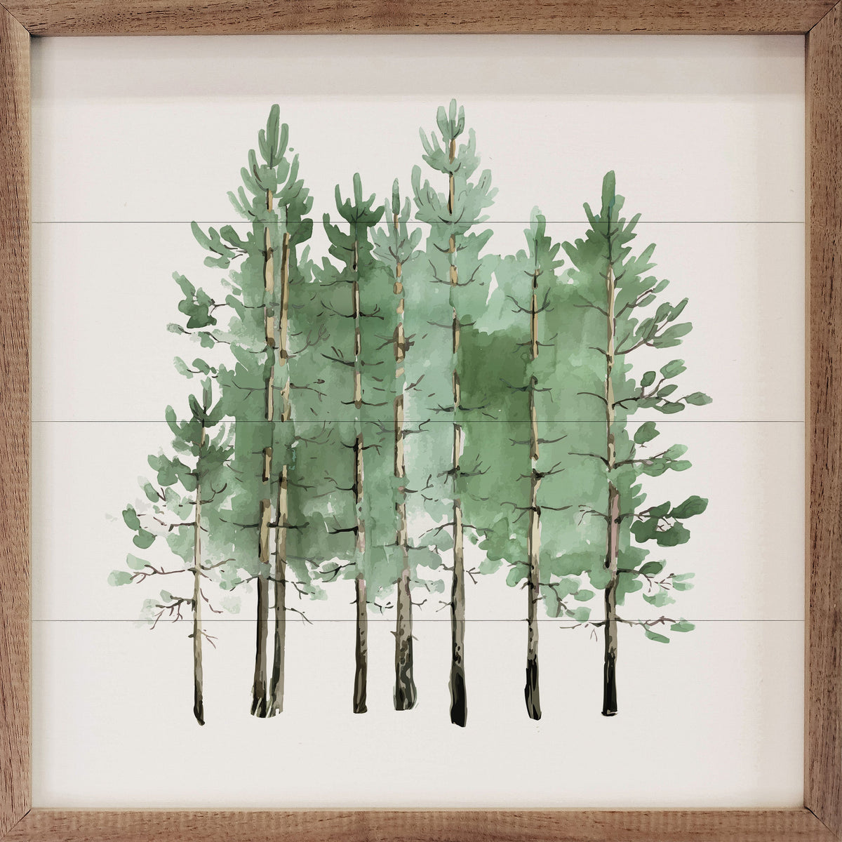 Watercolor Coniferous