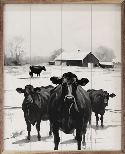 Cows In Pasture By Barn