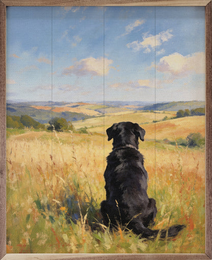 Sunny Day Black Lab
