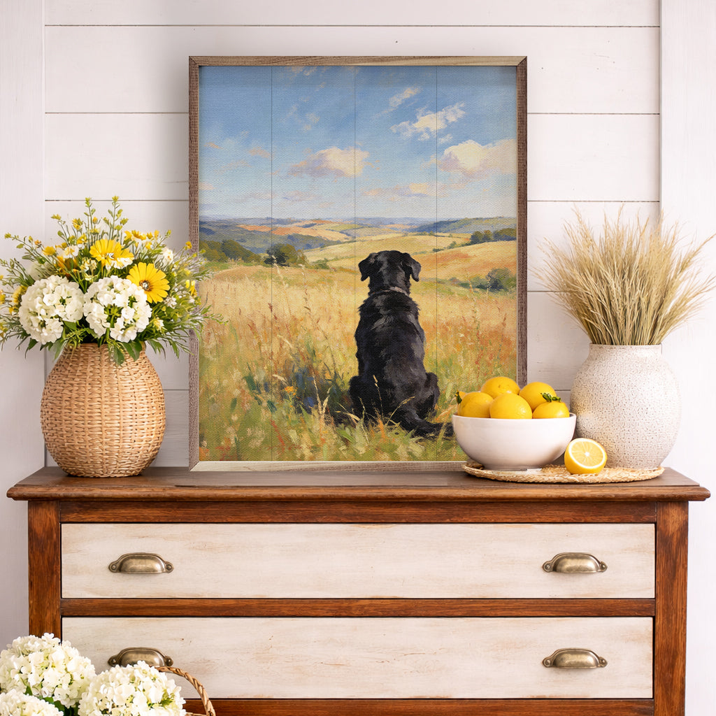 Sunny Day Black Lab