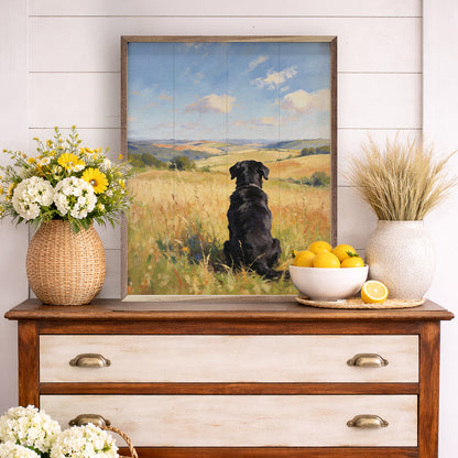 Sunny Day Black Lab