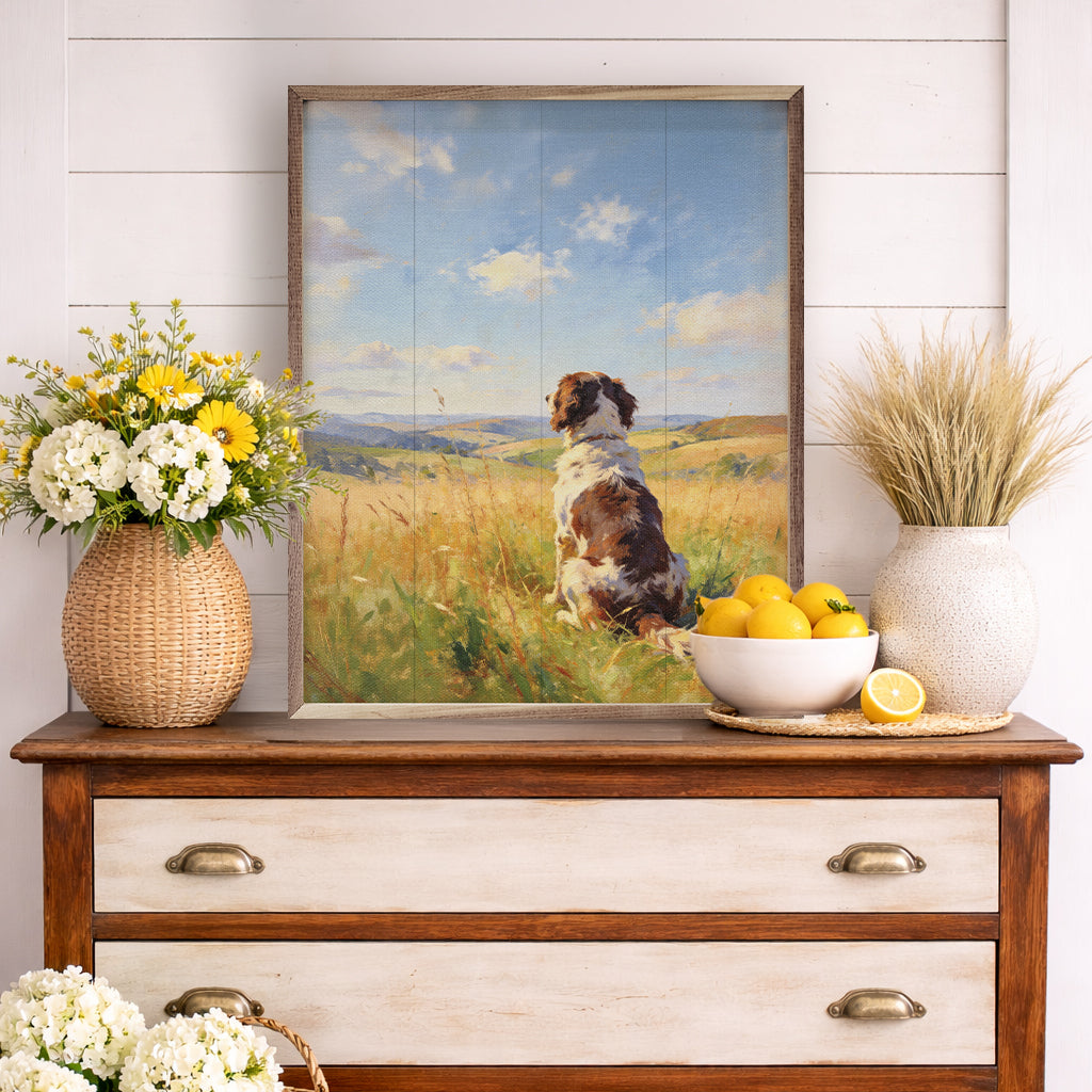Sunny Day English Springer Spaniel