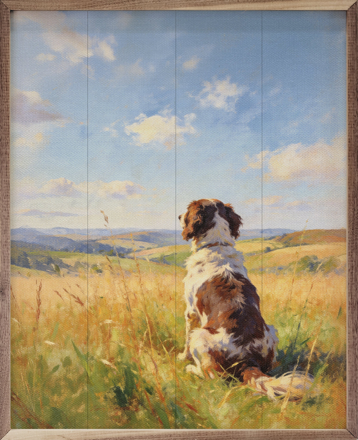 Sunny Day English Springer Spaniel