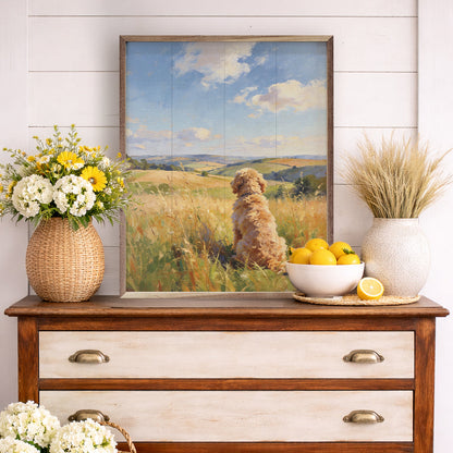 Sunny Day Goldendoodle