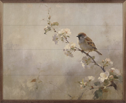 Songbird Among Spring Blossoms