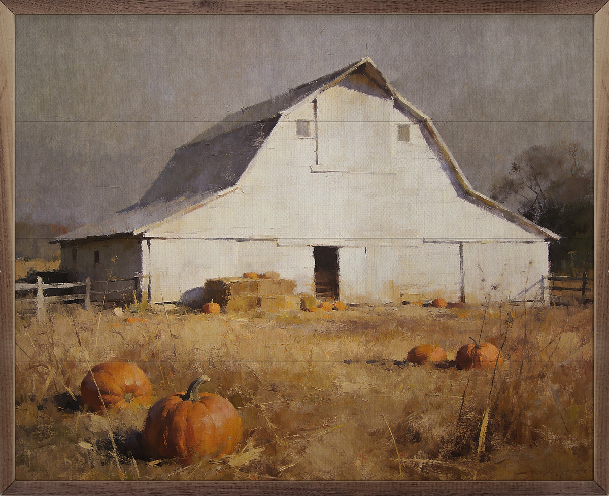 White Barn In Golden Pumpkin Pasture