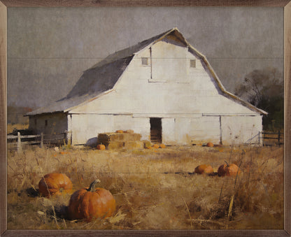 White Barn In Golden Pumpkin Pasture