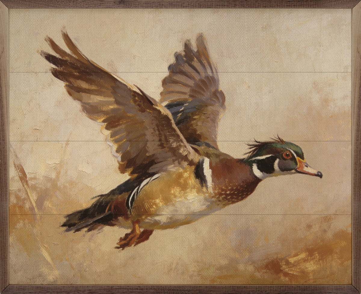 Wood Duck In Flight Autumn Light