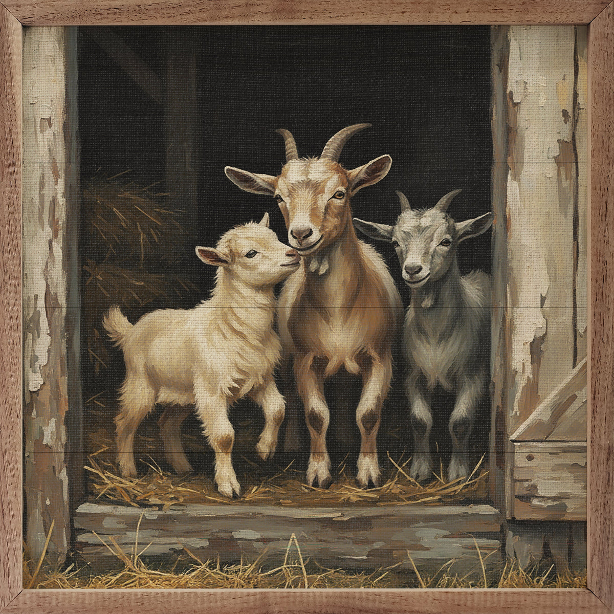 Trio Of Goats In The Barn