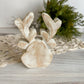 Whitewash Mango Wood Moose Head Blocky Shelf Sitter