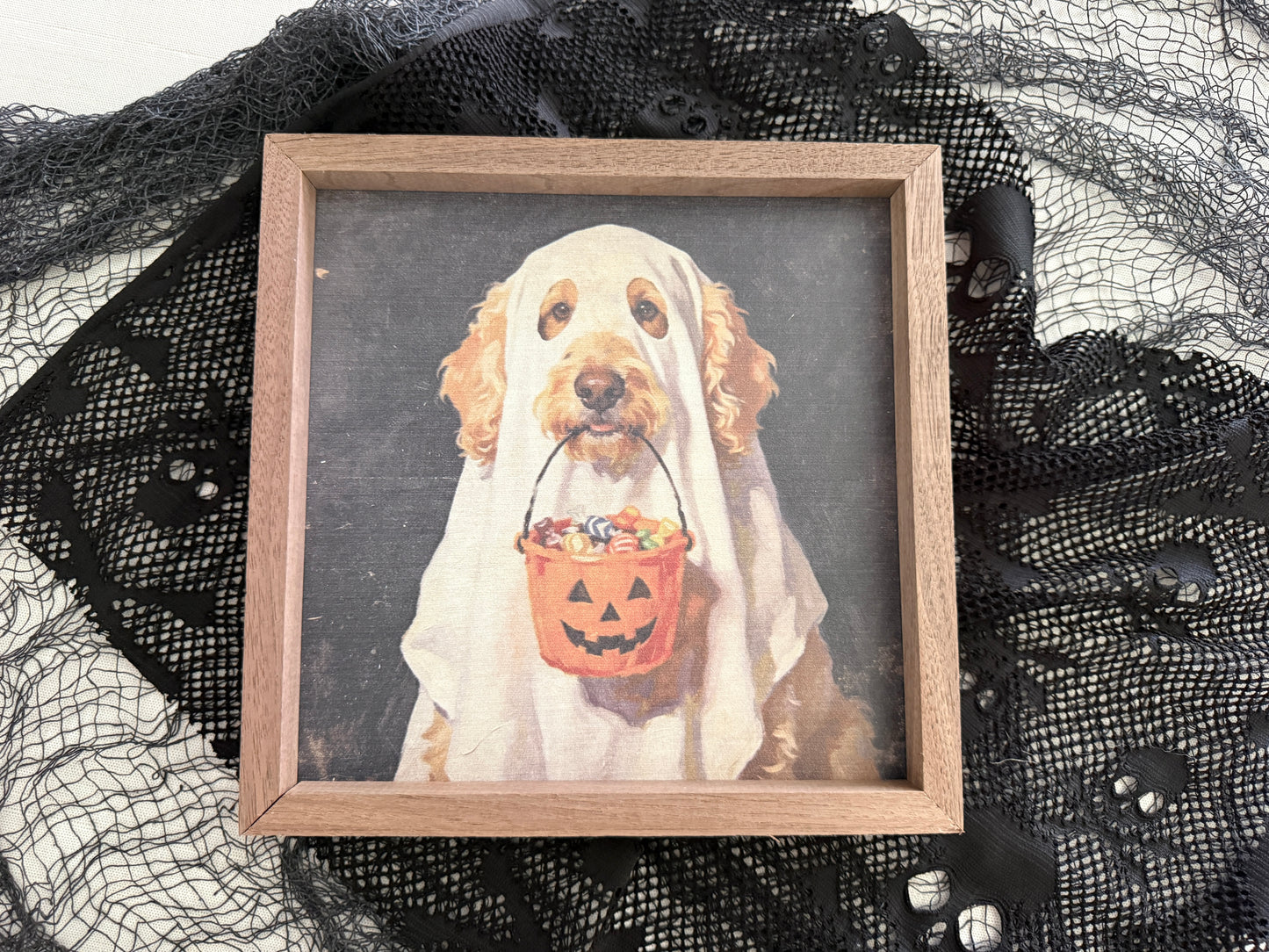 Trick or Treat Goldendoodle - Kendrick Homes